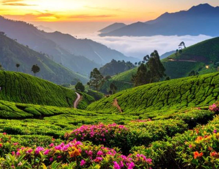 Thoothukudi - Kanyakumari